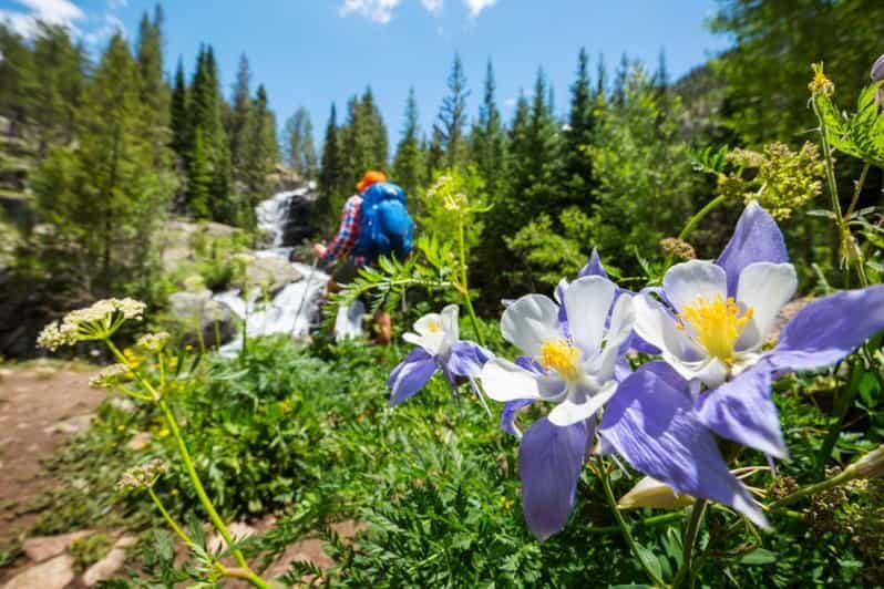 Breckenridge, CO: Half-Day Guided Scenic Hike - Final Thoughts