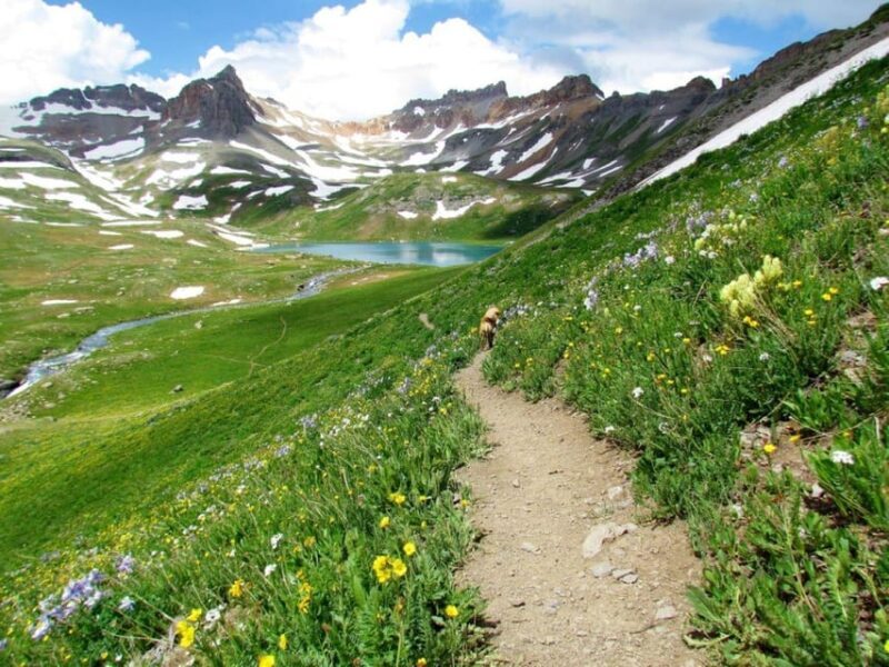 Breckenridge, Colorado: Guided Mountain Hike - Full Day Trek - Pricing and Value