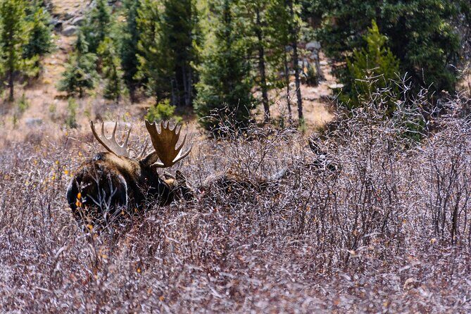 Breckenridge via Hoosier Pass Private Colorado Adventure Tour - Practical Tips