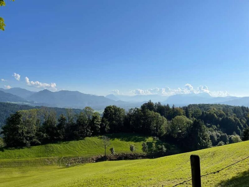 Bregenz: Hiking - Final Thoughts: Who Is This Tour Best For?