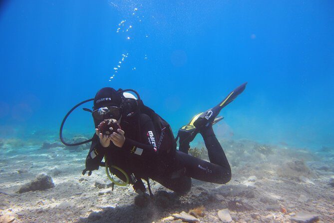 BRELA Bikini Dive *Try SCUBA DIVING* - Who Will Love This Tour?