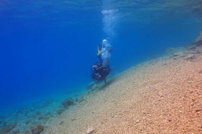 BRELA Bikini Dive *Try SCUBA DIVING* - Frequently Asked Questions