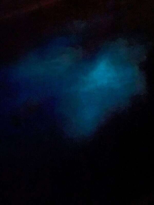 Brentwood Bay: Bioluminescence Tour - Key Points