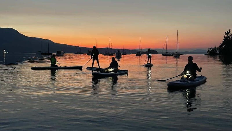 Brentwood Bay: Bioluminescence Tour - The Pros and Cons