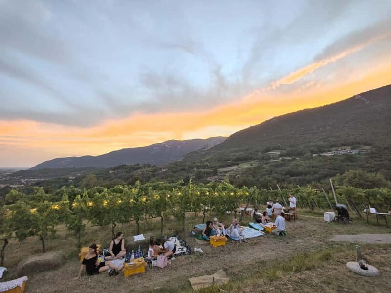 Brescia: Day trip to Botticino, new historical winetasting - In-Depth Look at the Tour