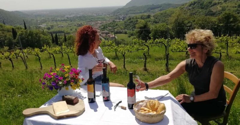 Brescia: day trip to Botticino with wine tasting at Noventa - The Experience in Detail