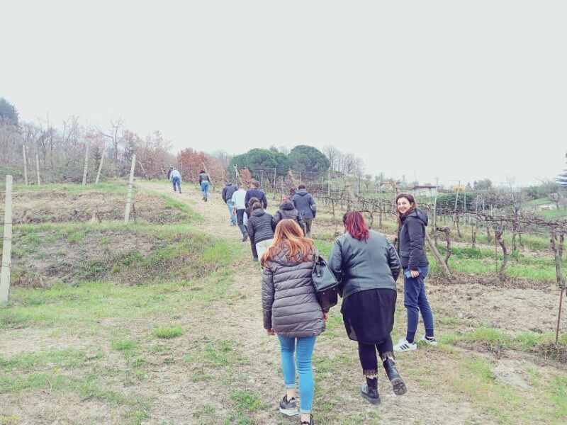 Brescia: day trip to Botticino with wine tasting at Noventa - Frequently Asked Questions