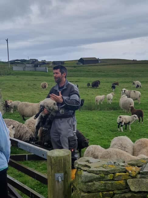 Bressay Explorer Crofting & Island Life Tour - Key Points