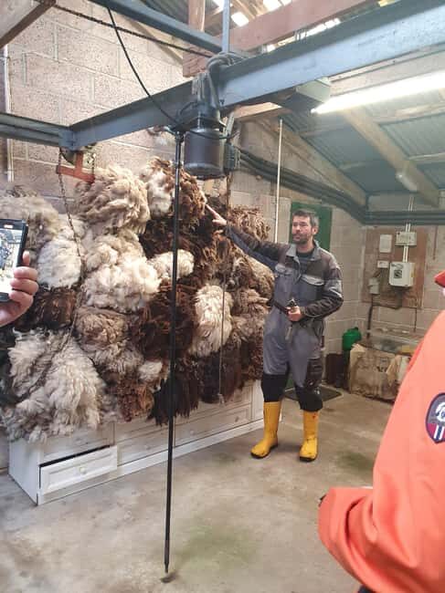 Bressay Explorer Crofting & Island Life Tour - A Genuine Introduction to Shetland’s Rural Roots