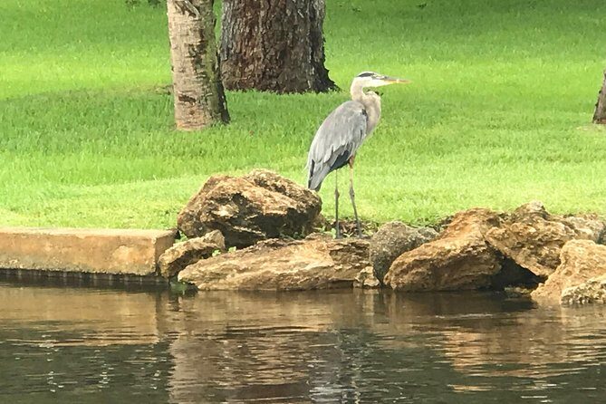 Brevard County Tours, dolphin and manatee tours in Palm Bay, FL - Who Should Consider This Tour?