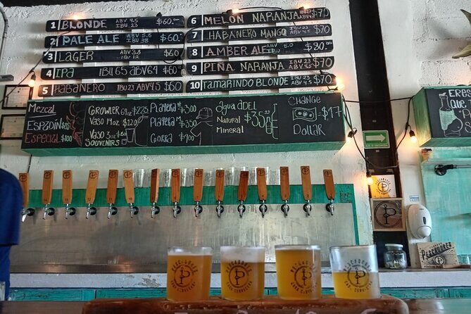 Brewery Tour / Craft Beer Tasting Cancun Mexico - What About the Downsides?