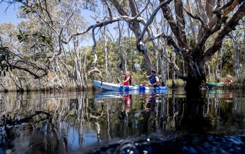 Bribie Island: Sea to Table 4WD, Kayak, & Seafood Lunch Tour - FAQ