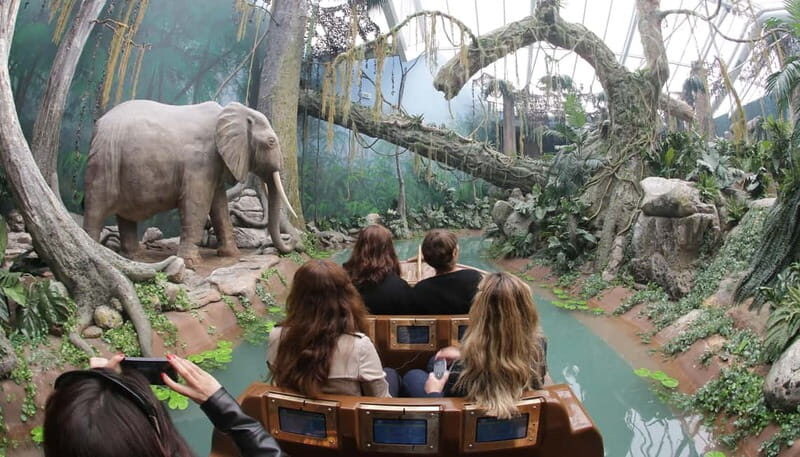 Bridges Cruise with World of Discoveries or Sunset Option - The Sum Up