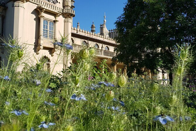 Brighton and White Cliffs private tour from London - FAQ