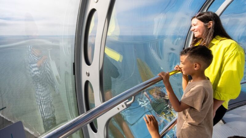 Brighton: Brighton i360 Ticket - Pricing and Value