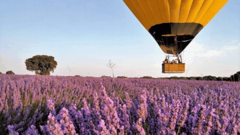 Brihuega: Balloon Flight Above Lavender Fields - What to Expect from Your Lavender Balloon Flight