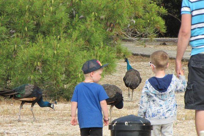 Brijuni National Park Boat Excursion from Pula. With a visit to the island - Frequently Asked Questions