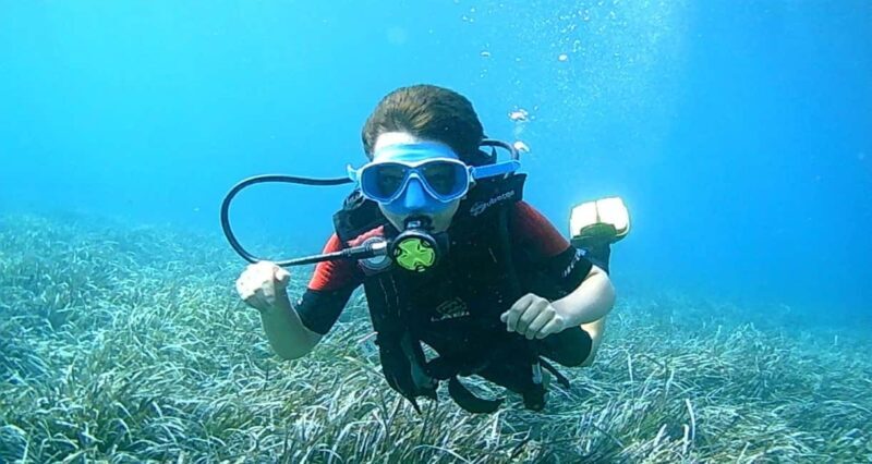 Brindisi: Underwater scuba diving - Who Offers This Experience?