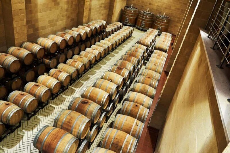 Brindisi: Winery Tour & Guided Selection Wine Tasting - A Closer Look at the Experience