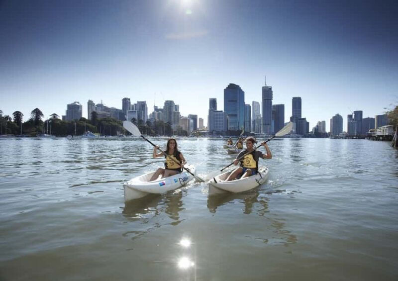 Brisbane: 2-Hour Kayak Hire on Brisbane River - The Experience in Detail