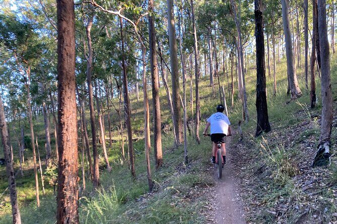 Brisbane Electric Mountain Bike Experience Tour - Final Thoughts