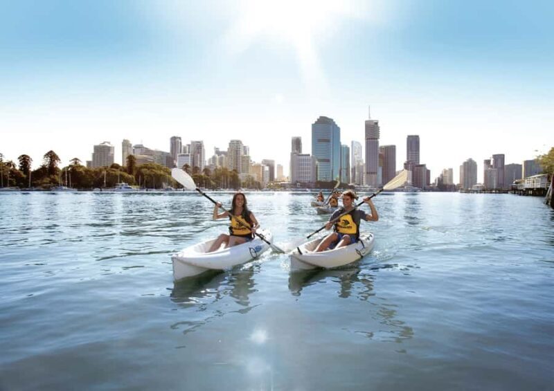 Brisbane: Guided River Kayak Tour - An In-Depth Look at the Brisbane River Kayak Tour