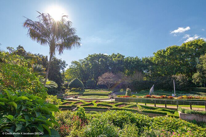 Brisbane Insights Tour - Who Should Consider This Tour?