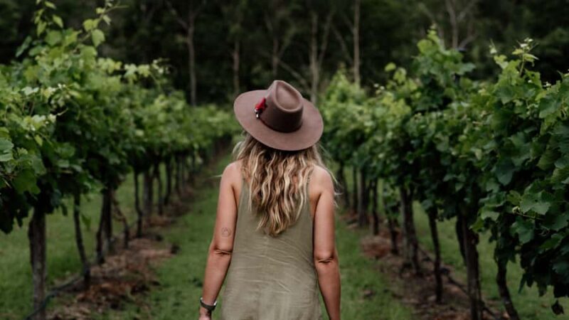 Brisbane: Luxury Winery Tour with Gourmet Lunch & Distillery - What the Reviews Tell Us