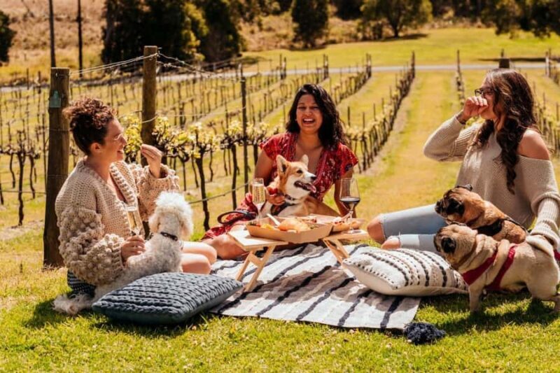 Brisbane: Picnic in the Vines - Key Points