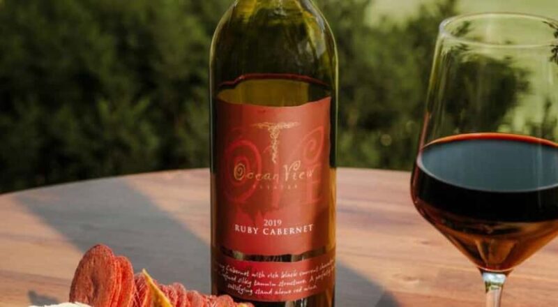 Brisbane: Picnic in the Vines - What You Can Expect from the Experience