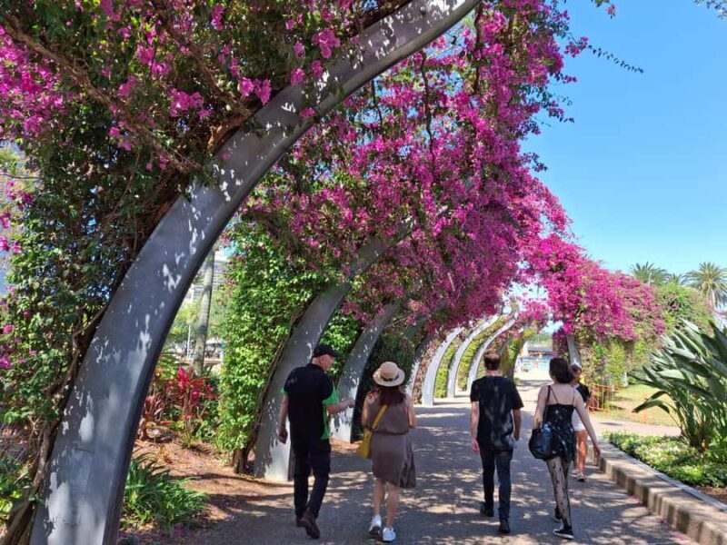 Brisbane Private VIP Tour with Your Tour Concierge - Key Points