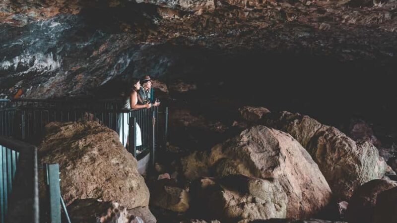 Brisbane: Rainforests, Waterfalls and Glow Worm Cave Tour - The Glow Worm Caves Experience