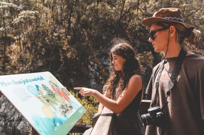 Brisbane: Rainforests, Waterfalls and Glow Worm Cave Tour - Transportation, Timing, and Value