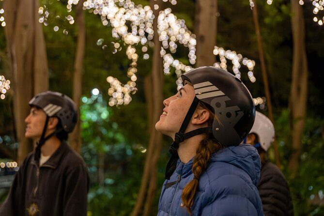 Brisbane Segway Sightseeing Tour - The Experience: What It’s Really Like
