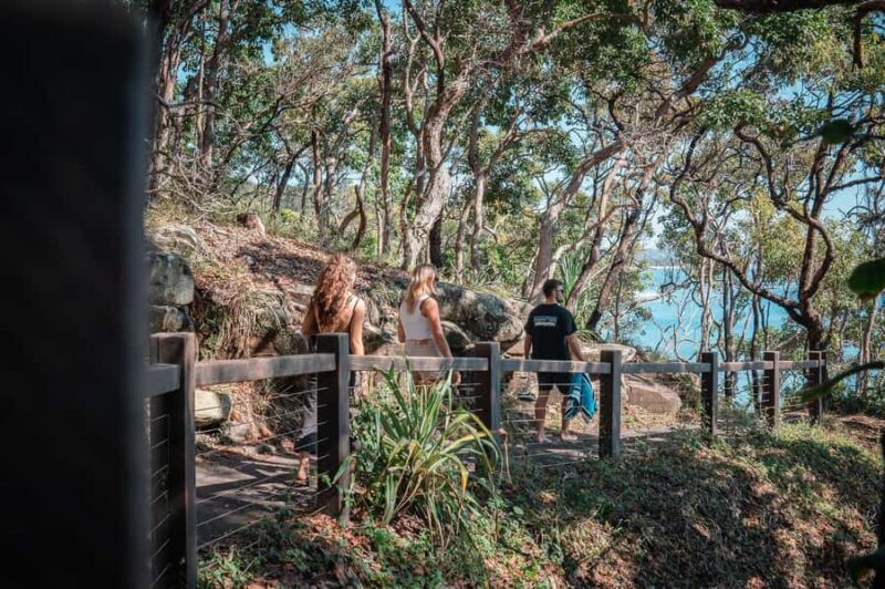 Brisbane: Sunshine Coast Hinterland & Noosa Scenic Tour - Is This Tour Right for You?