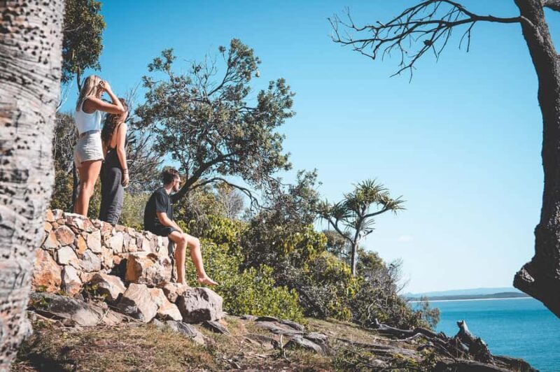 Brisbane: Sunshine Coast Hinterland & Noosa Scenic Tour - FAQs about the Sunshine Coast Scenic Tour