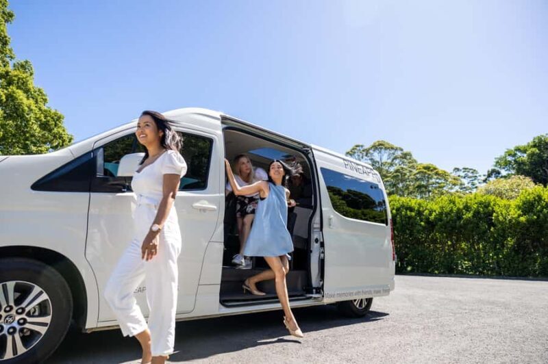 Brisbane: Tamborine Mountain Local Winery Tour with Lunch - The Guide & Transport Experience