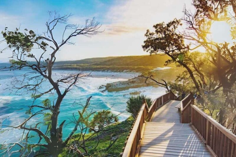 Brisbane to North Stradbroke Island Day: Wildlife & Beaches - Who Should Book This Tour?