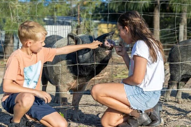 Brisbane: Trevena Glen Farm 1hr Animal Experience - The Cost and Value