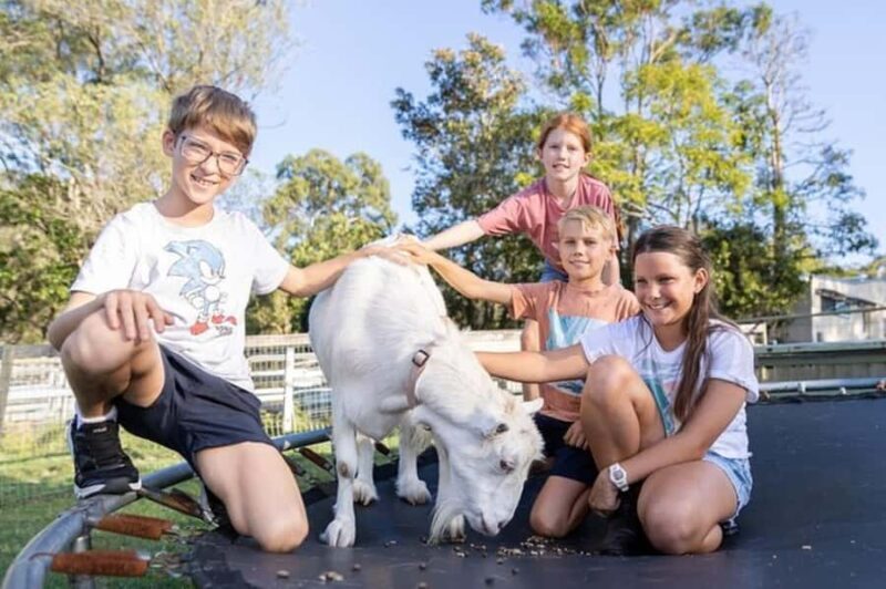 Brisbane: Trevena Glen Farm 1hr Animal Experience - What Travelers Say