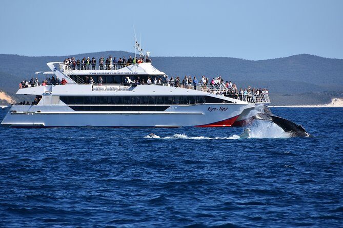 Brisbane Whale Watching Cruise from Redcliffe or Sunshine Coast - Seating, Comfort, and Views