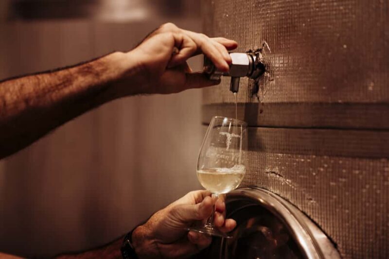 Brisbane: Wine & Dine In The Vines - The Setting: A Scenic Escape Just 50 Minutes from Brisbane