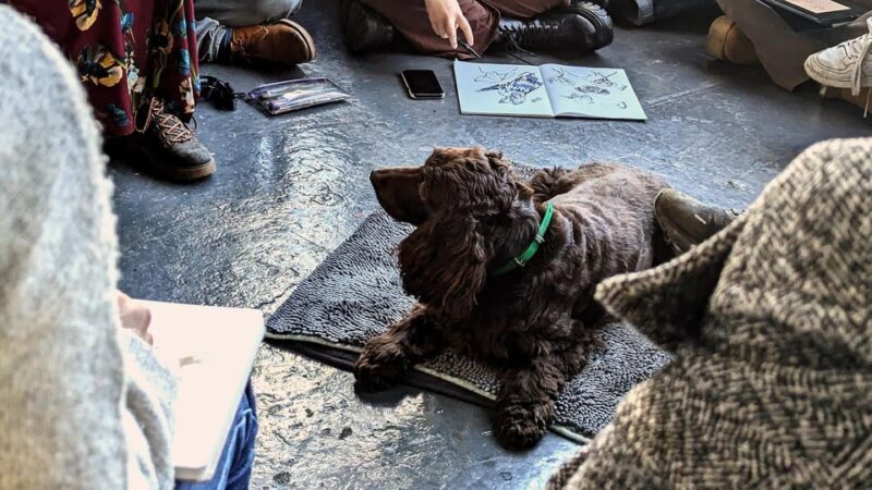 Bristol: Dog Life Drawing led by local Artist Cai Burton - What to Expect from the Bristol Dog Life Drawing Class