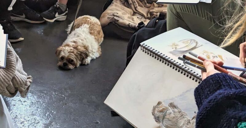 Bristol: Dog Life Drawing led by local Artist Cai Burton - The Artistic Side
