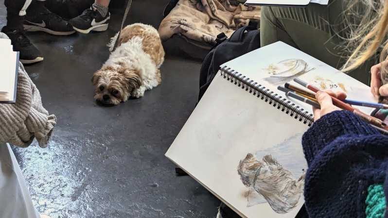 Bristol: Dog Life Drawing led by local Artist Cai Burton - Price and Value
