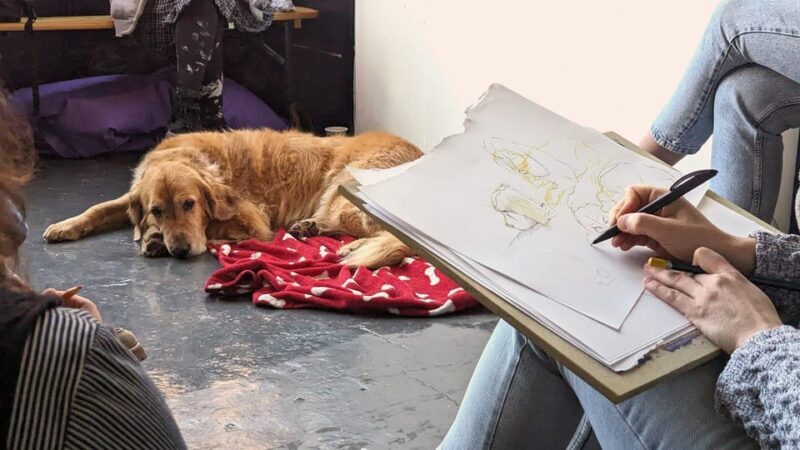 Bristol: Dog Life Drawing led by local Artist Cai Burton - Accessibility and Practicalities