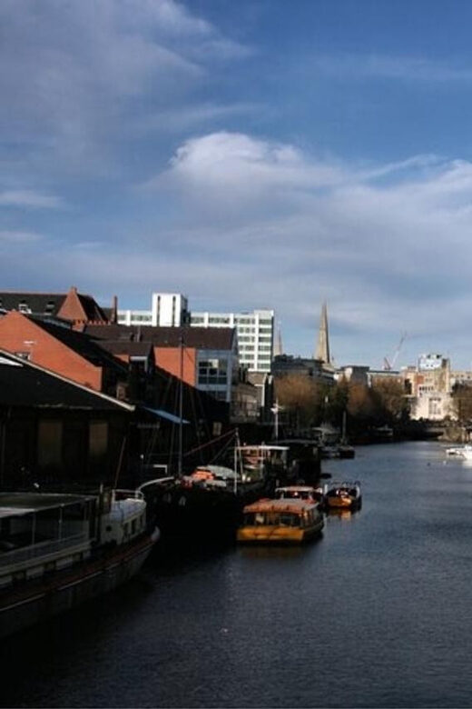 Bristol : Sightseeing Custom Tour with a Local Guide - Who Should Consider This Tour?