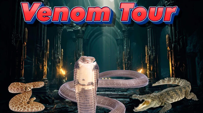 Bristol: Venomous Snake Tour with Reptile Photo - What to Expect from This Bristol Reptile Experience