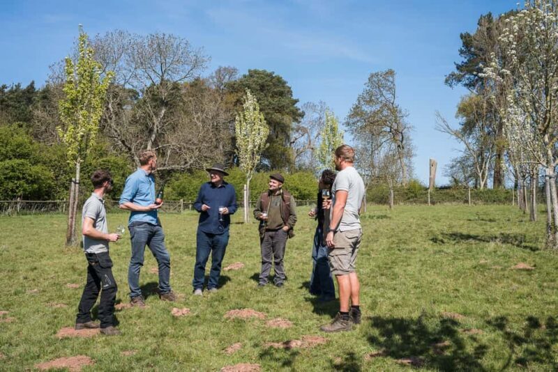 Bristol: Wine and Cider Tour with Tastings - The Sum Up