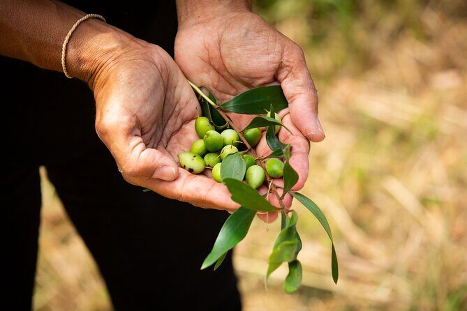Broken Head Aboriginal Tour - Frequently Asked Questions